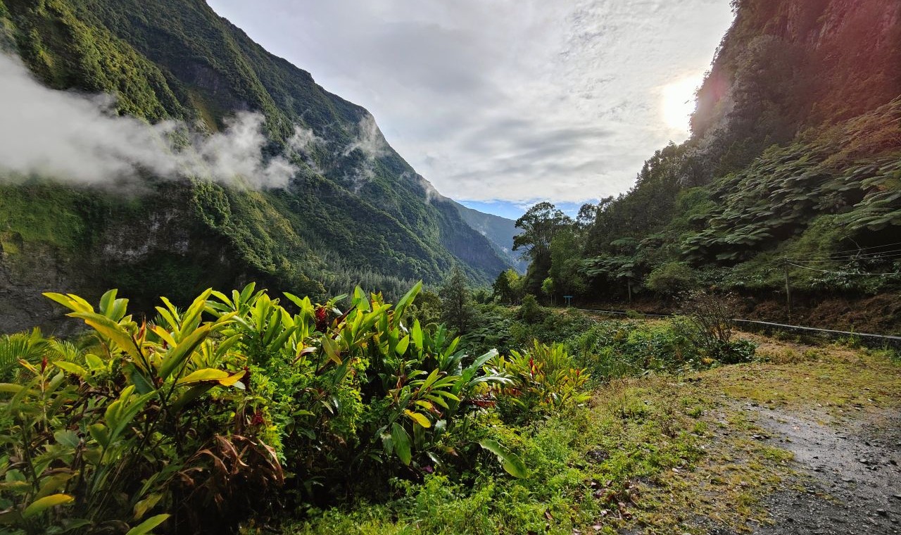 A Journey Through Reunion’s Green Heart